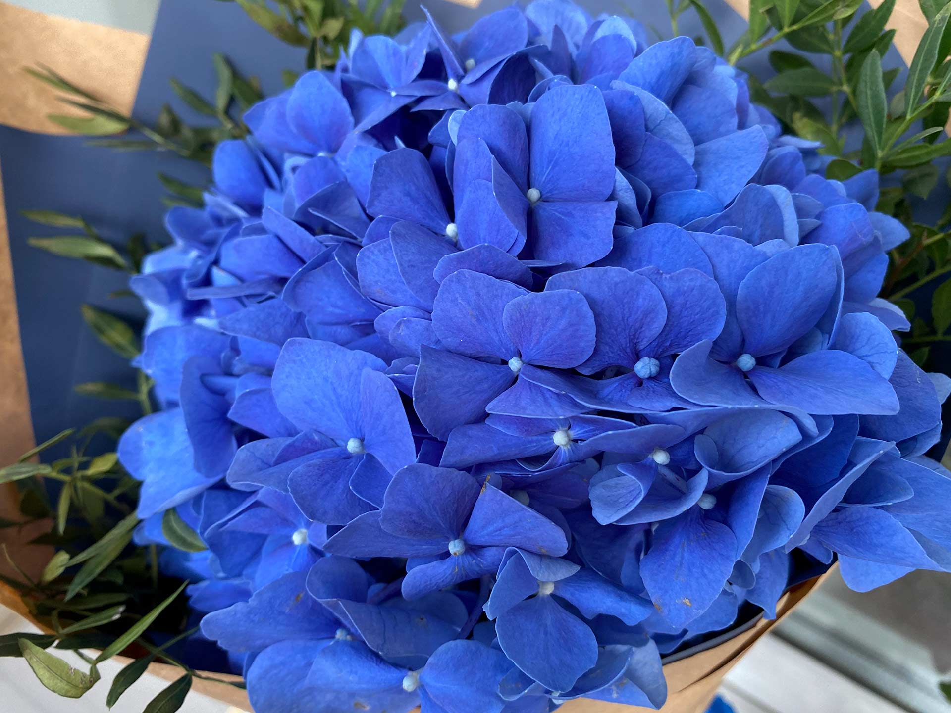 День знаний в разных странах